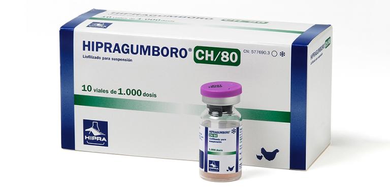 HIPRA HIPRAGUMBORO CH 80 CW Vaccine Gumboro HIPRA HIPRAGUMBORO CH 80 CW Vaccine Gumboro